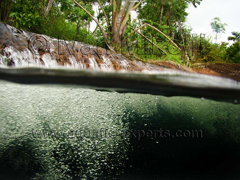 VENTA DE EQUIPOS FOTOGRAFICOS SUBACUATICOS venezuela